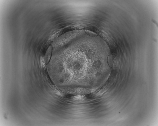 X0000098070335200804181139