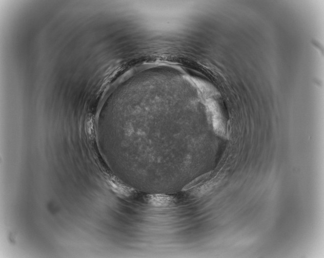 X0000098070336200804181139