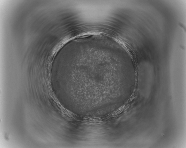 X0000098070337200804181138