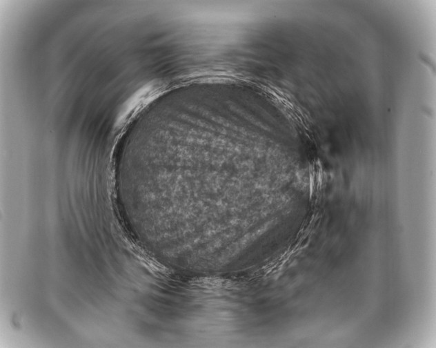 X0000098070339200804181138