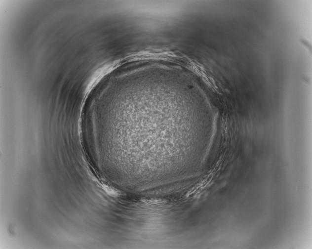 X0000098070340200804181138