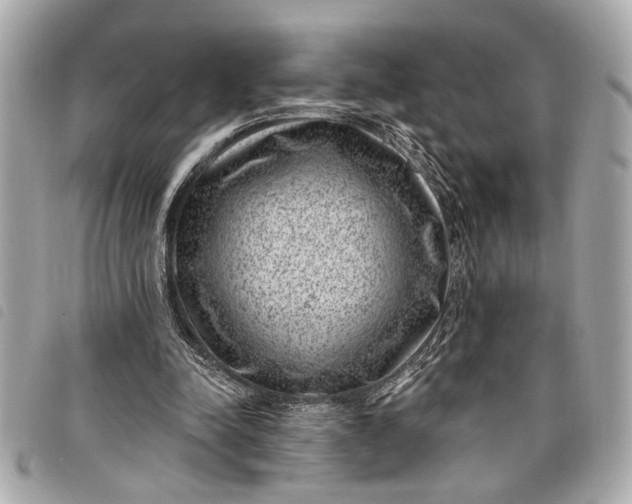 X0000098070342200804181138