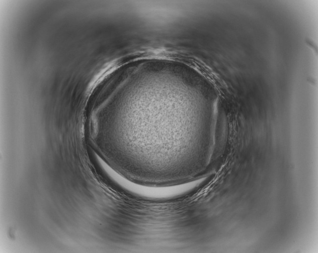 X0000098070344200804181139