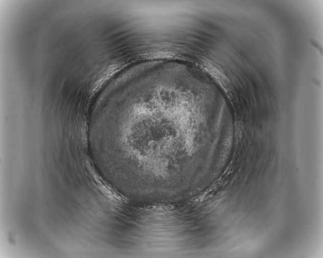 X0000098070345200804181139