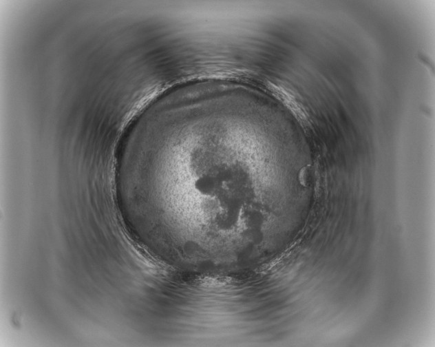 X0000098070346200804181139