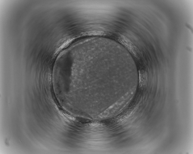 X0000098070348200804181139