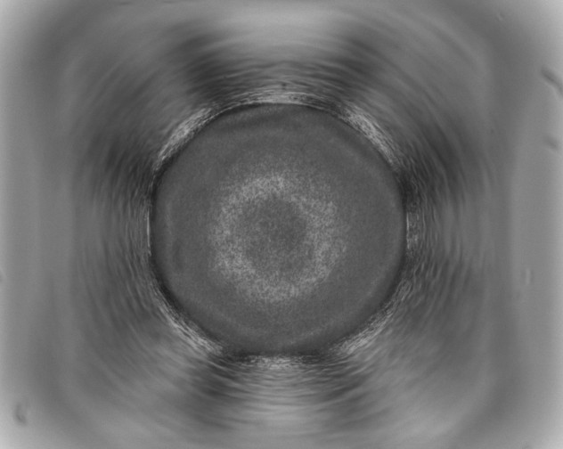 X0000098070349200804181139