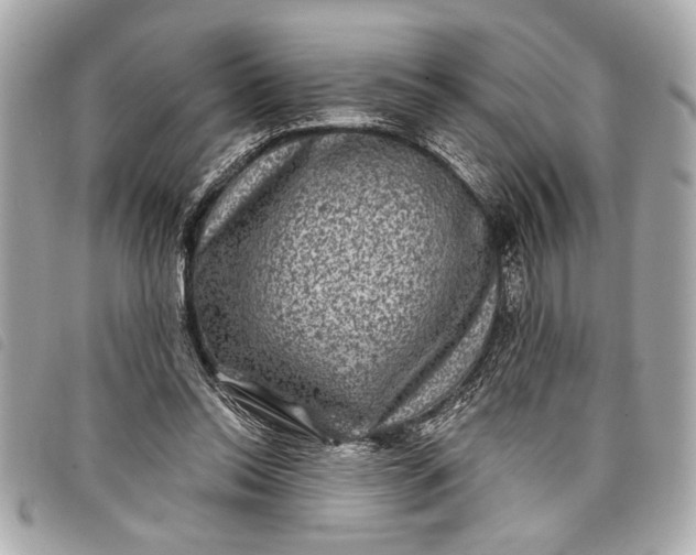 X0000098070350200804181139