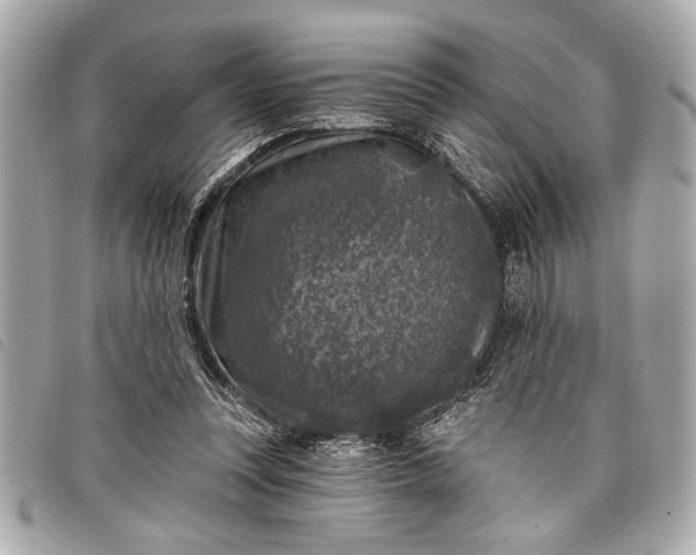 X0000098070351200804181139