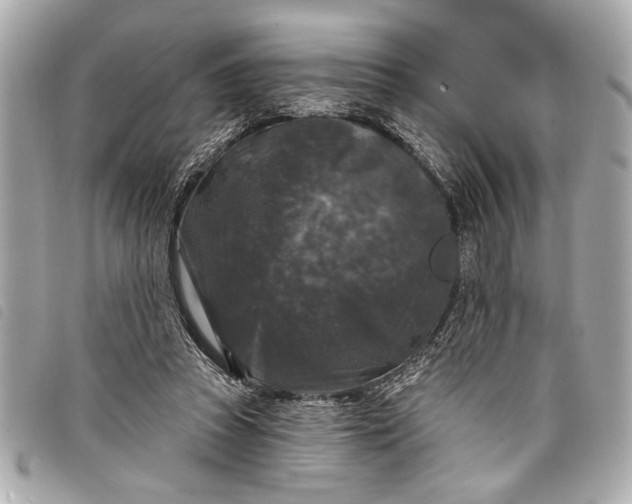 X0000098070353200804181139