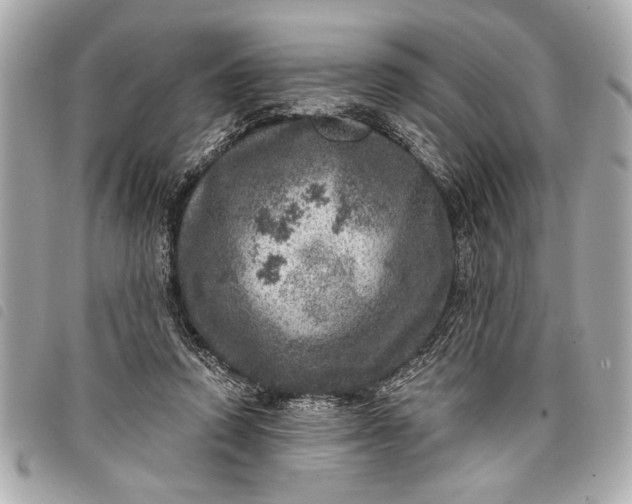 X0000098070354200804181139