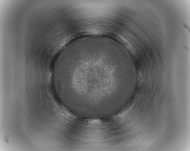 X0000098070355200804181139