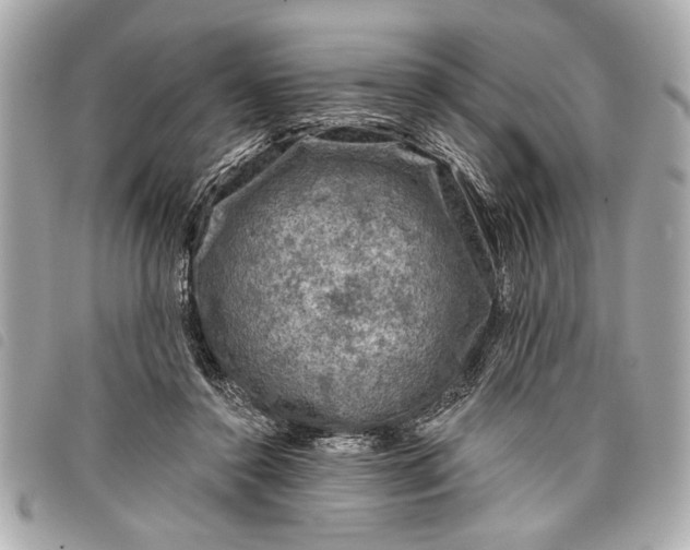 X0000098070356200804181139