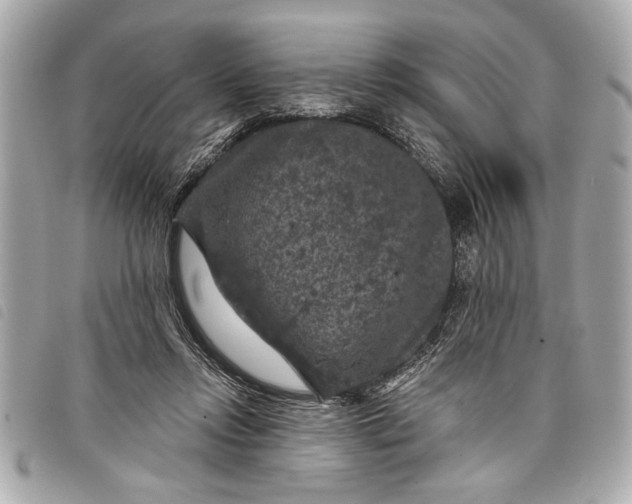 X0000098070358200804181139