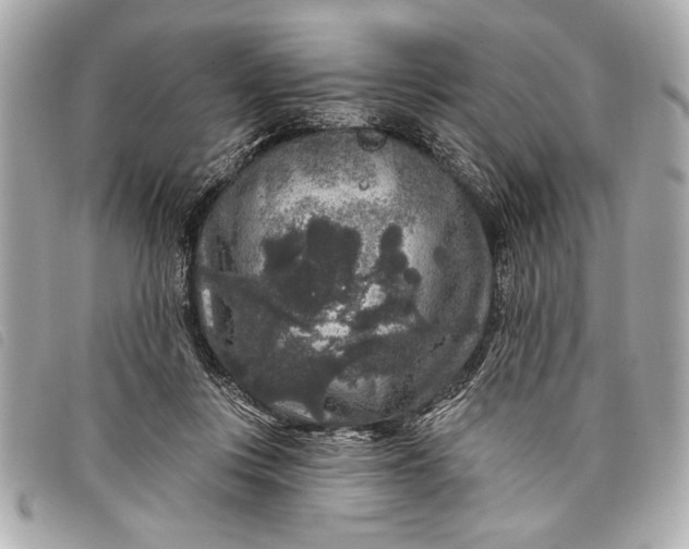 X0000098070359200804181139