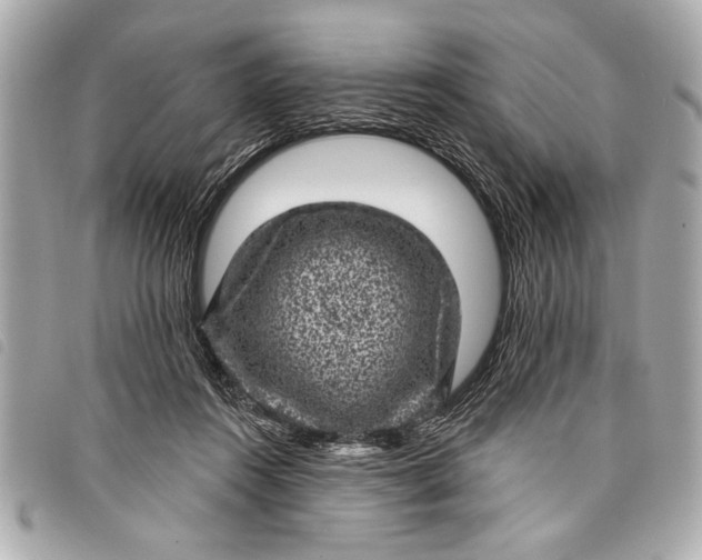 X0000098070360200804181139