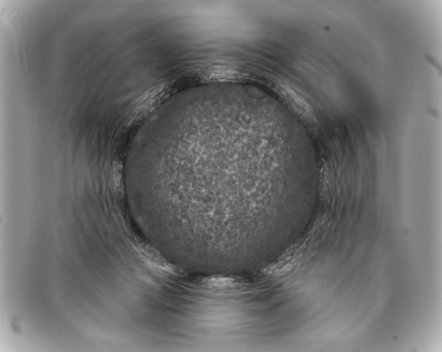 X0000098070361200804181139