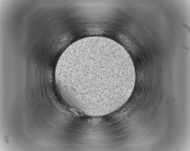 X0000098070362200804181139