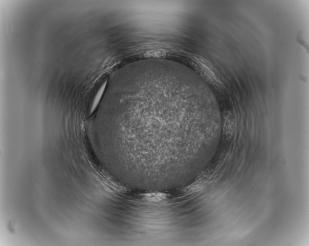 X0000098070363200804181139