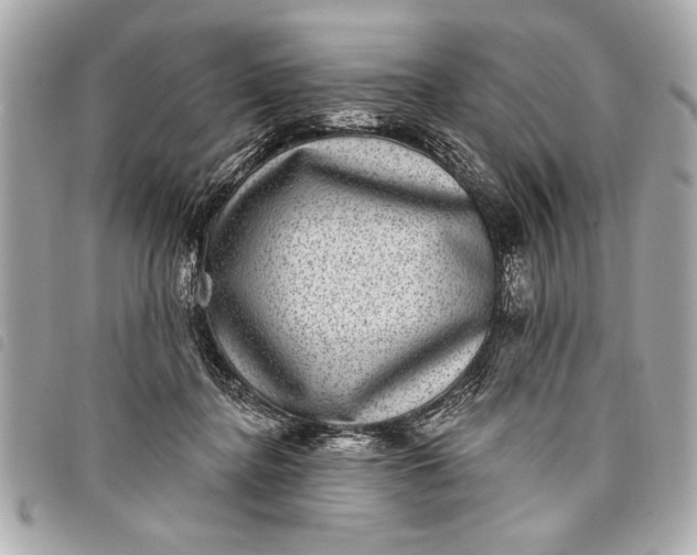 X0000098070364200804181139