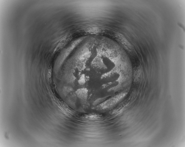 X0000098070365200804181139