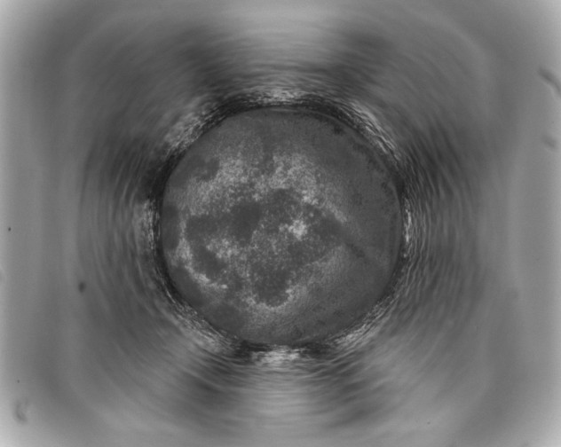 X0000098070366200804181139