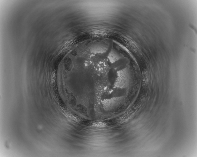 X0000098070369200804181139