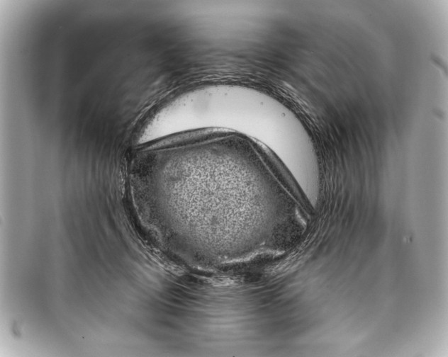 X0000098070370200804181139