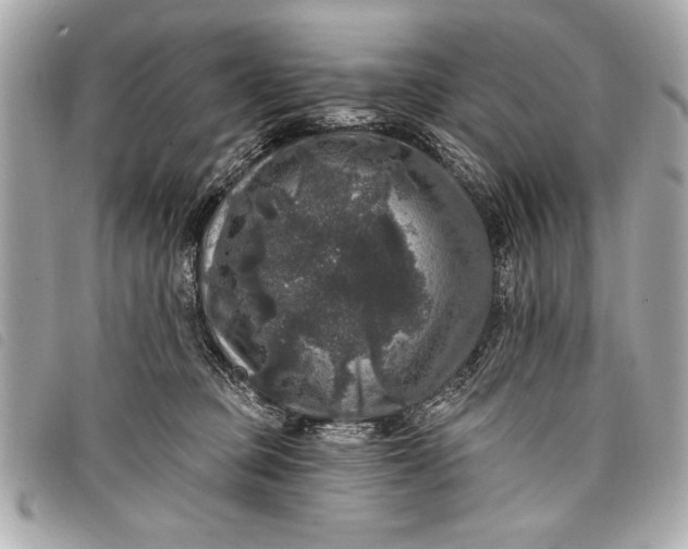 X0000098070373200804181139