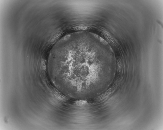 X0000098070374200804181139