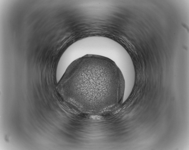 X0000098070376200804181139