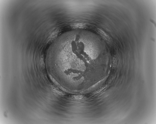 X0000098070377200804181139