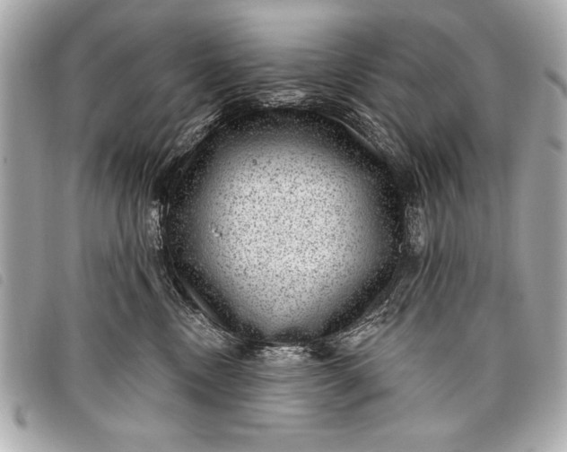 X0000098070378200804181139