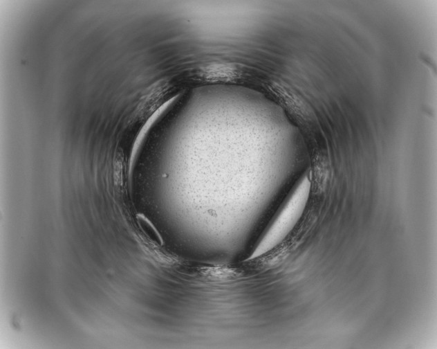 X0000098070379200804181139