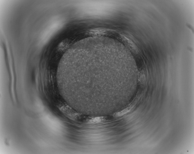 X0000098070382200804181139