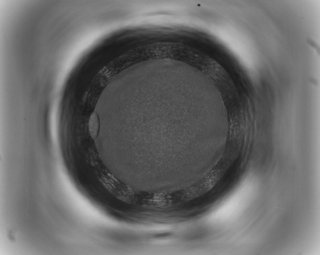 X0000098070383200804181139