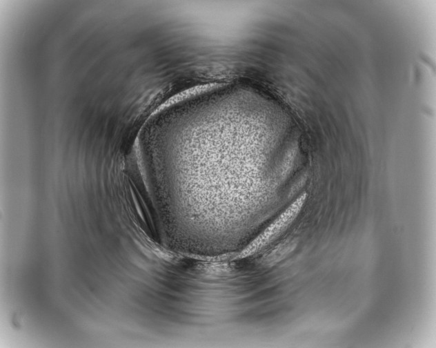 X0000098070384200804181139