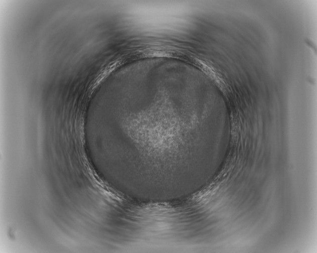 X0000098070386200804181138