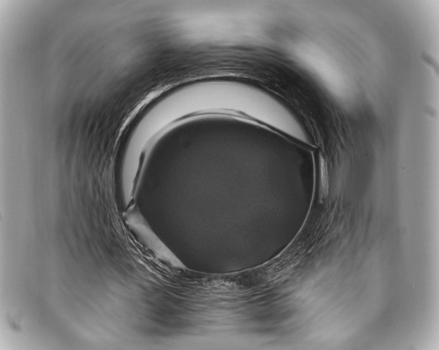 X0000098070387200804181138