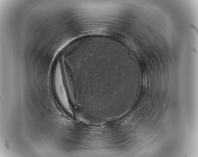 X0000098070388200804181138