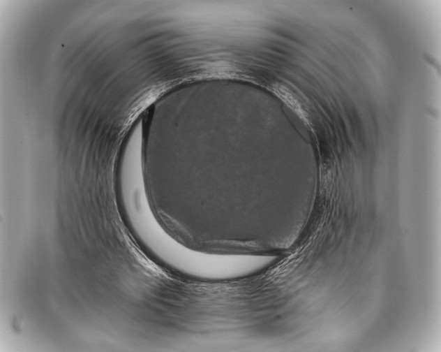 X0000098070389200804181138