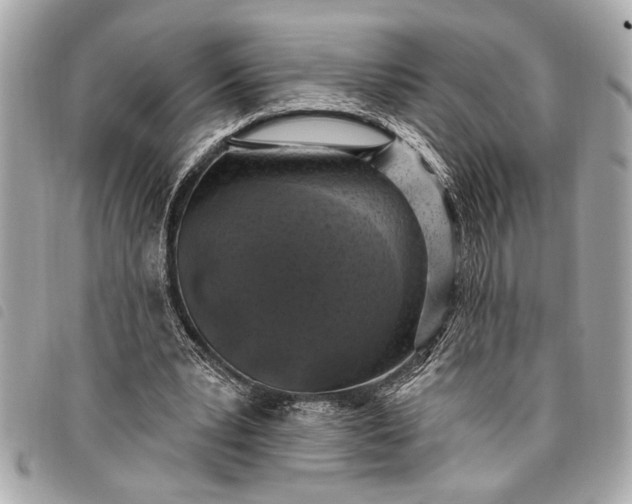 X0000098070391200804181138