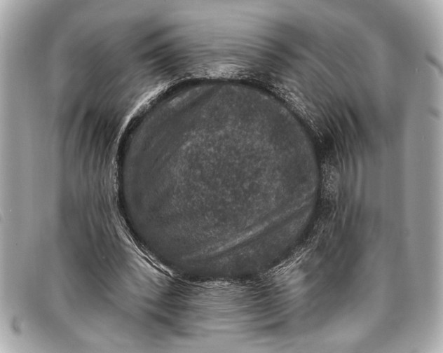 X0000098070392200804181138