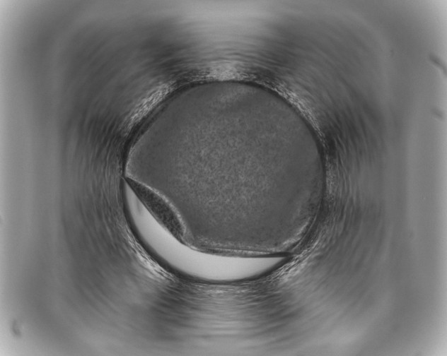 X0000098070393200804181138