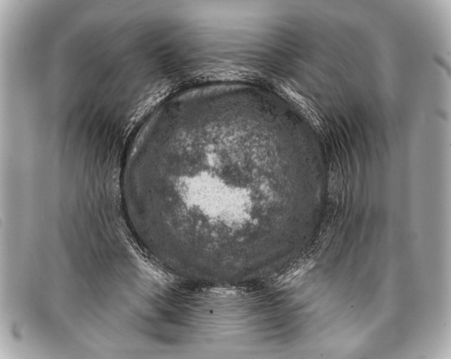 X0000098070394200804181138