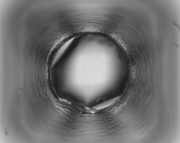 X0000098070395200804181138