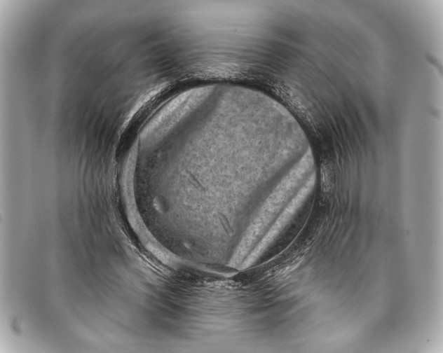 X0000098070396200804181138