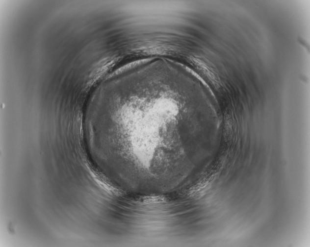 X0000098070398200804181138