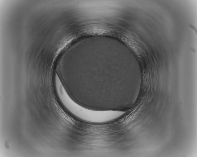 X0000098070399200804181138