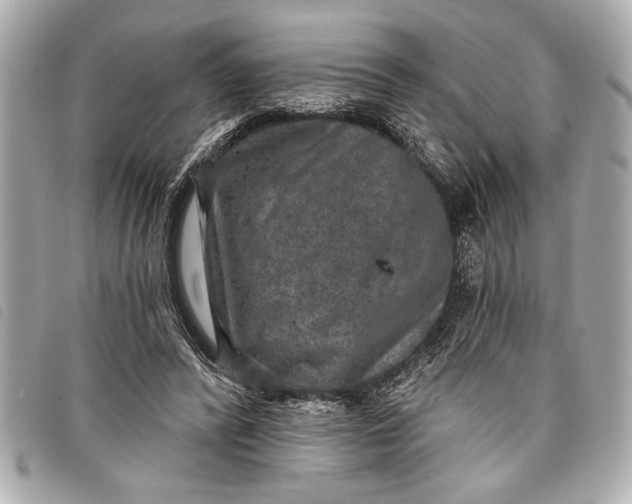 X0000098070400200804181138